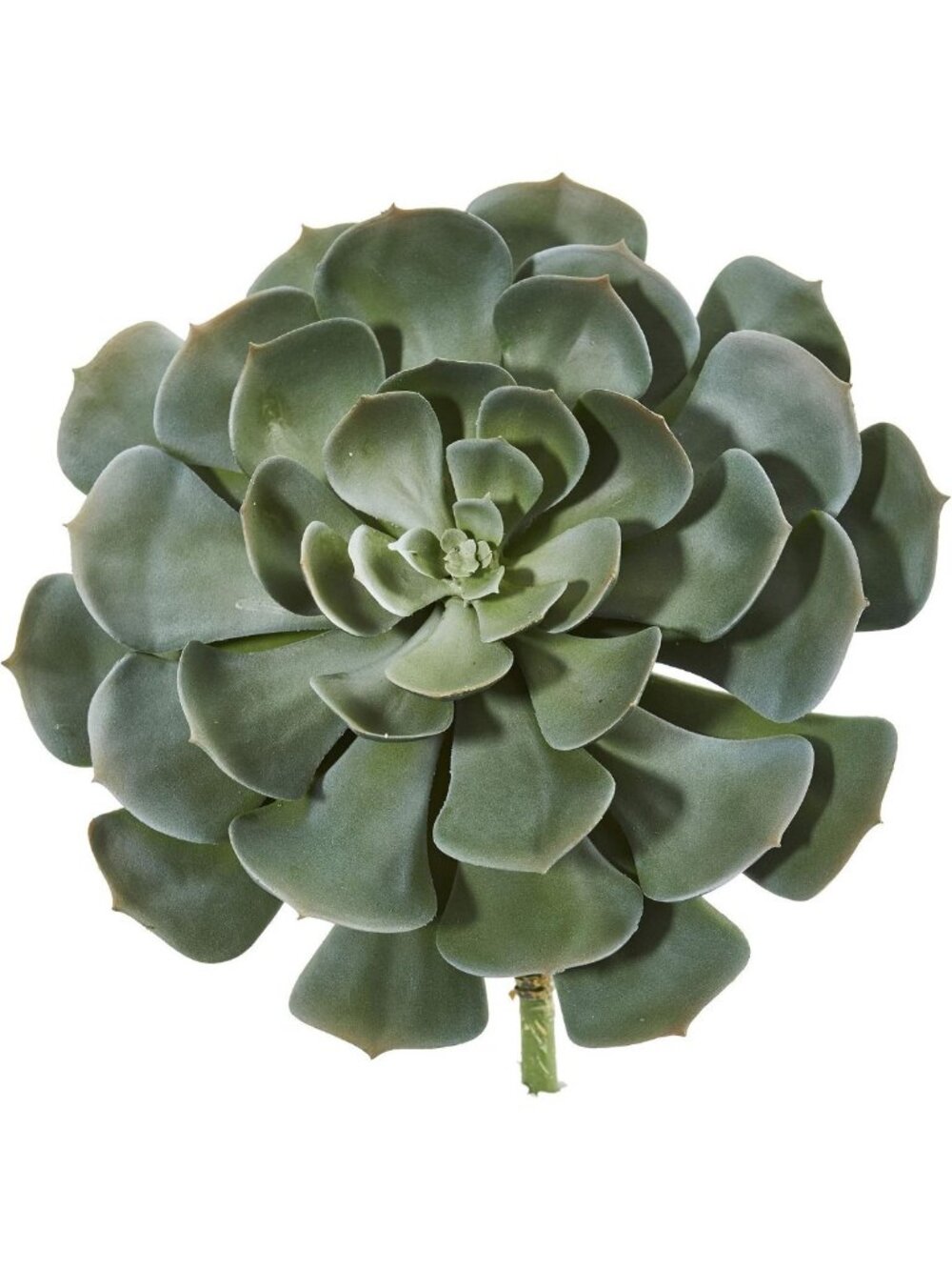 Set of 2 Giant Echeveria Succulent Picks - 13in Artificial Plant Decor